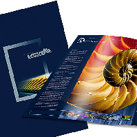 0|http://adobeportfolio.s3.amazonaws.com/08C5B1E6-30FF-3023-0C49-BF5AA3F447CB_Tamir_folder_1.jpg